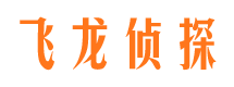 山阳市调查公司